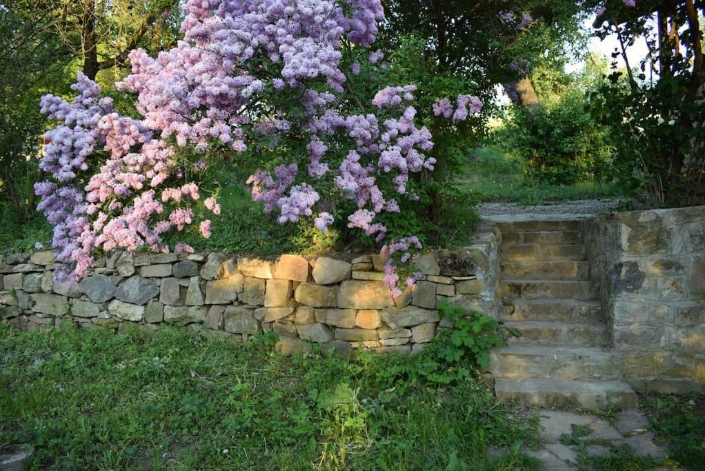 Birdsong Cottage - Peaceful Country Retreat Csíkpálfalva Kültér fotó