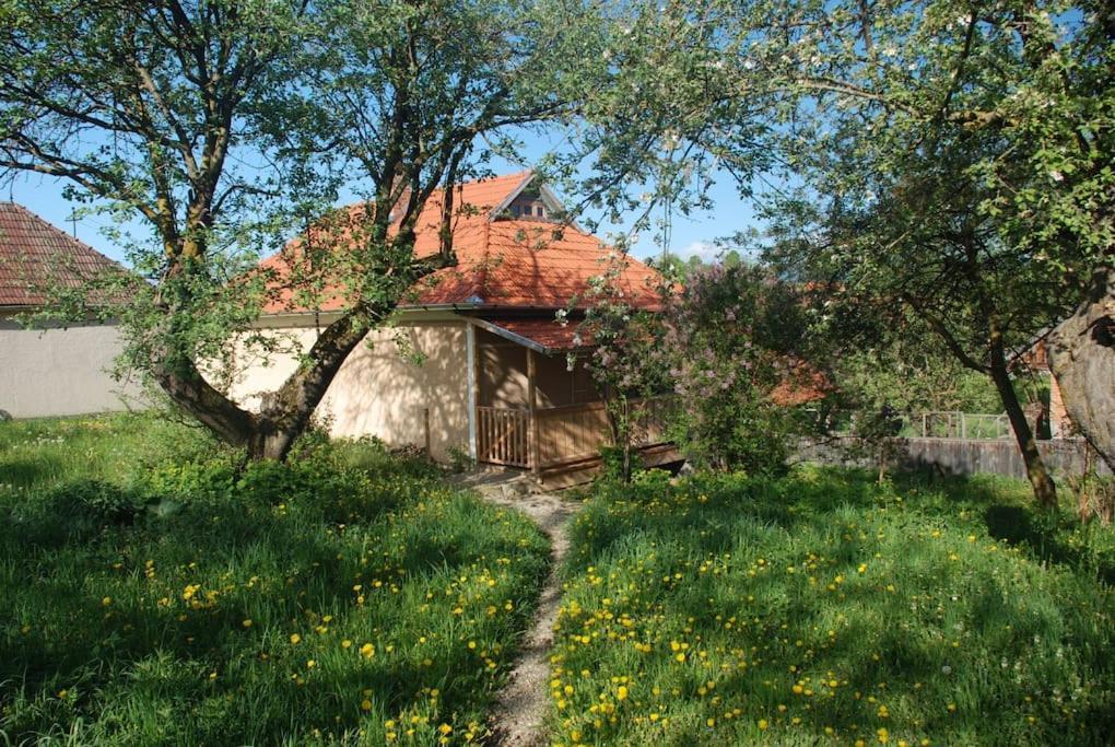 Birdsong Cottage - Peaceful Country Retreat Csíkpálfalva Kültér fotó